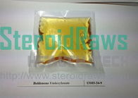 Boldenone Bulking Cycle Boldenone Undecylenate / Equipoise Steroids for Bodybuilding 13103-34-9